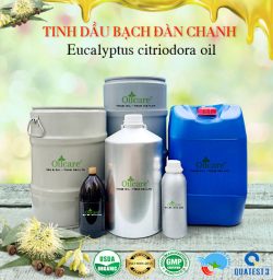 Tinh dầu bạch đàn chanh Eucalyptus citriodora bán lít kg sỉ buôn rẻ