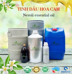 Tinh dầu hoa cam Neroli bán lít giá sỉ buôn mua bán ở đâu