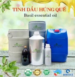 Tinh dầu húng quế Basil bán sỉ lít buôn giá rẻ