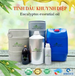 Tinh dầu bạch đàn khuynh diệp Eucalyptus bán lít sỉ buôn giá rẻ