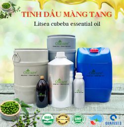 Tinh dầu màng tang Litsea Cubeba bán sỉ buôn lít giá rẻ