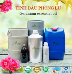 Tinh dầu phong lữ Geranium bán lít sỉ buôn giá rẻ