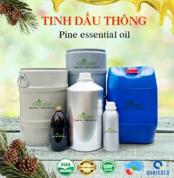 Tinh dầu thông pine bán sỉ buôn lít rẻ