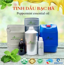 Tinh dầu bạc hà Peppermint giá sỉ lít buôn ở đâu tphcm đà nẵng hà nội