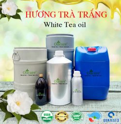 Tinh dầu trà trắng White tea bán sỉ buôn lít giá rẻ tại tphcm hà nội đà nẵng