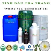 Tinh dầu trà trắng White tea bán sỉ buôn lít giá rẻ tại tphcm hà nội đà nẵng