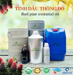 Tinh dầu thông đỏ Red Pine nguyên chất bán sỉ buôn lít rẻ