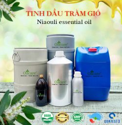 Tinh Dầu Tràm Gió Năm Gân Bán Buôn Sỉ