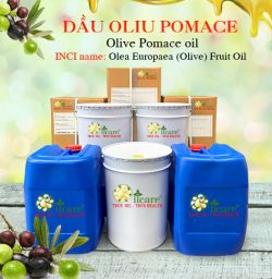 Dầu ô liu olive pomace bán sỉ buôn lít giá rẻ