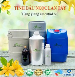 Tinh dầu ngọc lan tây y lang bán giá sỉ buôn lít rẻ