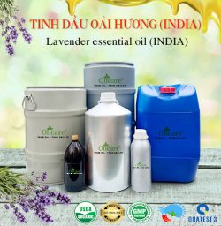 Tinh dầu oải hương lavender bán lít sỉ buôn giá rẻ tại tphcm