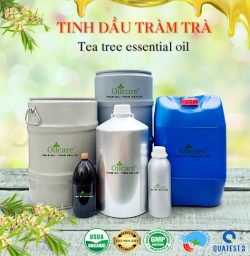 Tinh dầu tràm trà tea tree bán sỉ lít buôn giá rẻ