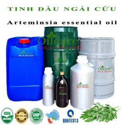 Tinh dầu ngải cứu artemisia bán sỉ lít kg buôn rẻ