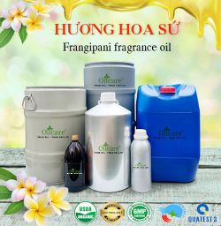 Tinh dầu hoa sứ frangipani oil bán sỉ kg lít buôn rẻ