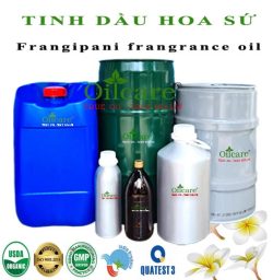 Tinh dầu hoa sứ frangipani oil bán sỉ kg lít buôn rẻ