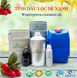 Tinh dầu lộc đề xanh bán sỉ lít kg buôn giá rẻ wintergreen