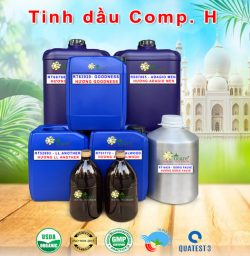 Tinh dầu nước hoa gốc Hermess buôn sỉ rẻ theo lít kg