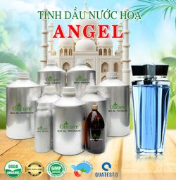 Tinh dầu nước hoa gốc Angel bán sỉ buôn lít kg rẻ mua ở đâu