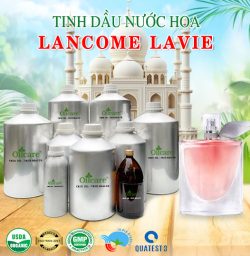 Tinh dầu nước hoa gốc Lancome Lavie bán sỉ buôn lít kg rẻ mua ở đâu