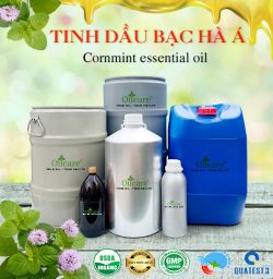 Tinh dầu bạc hà á cornmint wildmint bán sỉ lít kg buôn giá rẻ