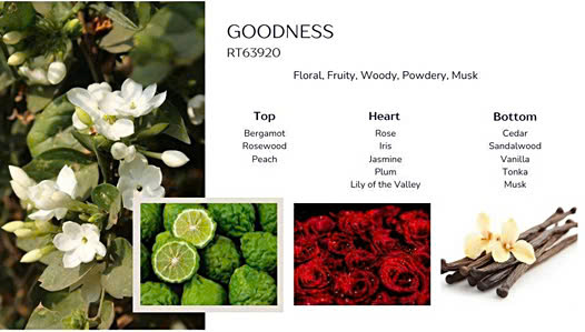 Tinh Dầu Nước Hoa Goodness Bán Sỉ Buôn Số Lượng Lớn (Lít, Kg, Can, Phuy) - Giá Cạnh Tranh