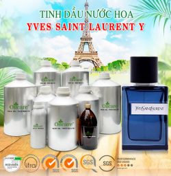 Tinh dầu nước hoa gốc YVES SAINT LAURENT Y bán sỉ giá rẻ lít kg