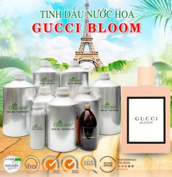 Tinh dầu nước hoa gốc GUCCI BLOOM giá sỉ bán buôn theo lít mua ở đâu