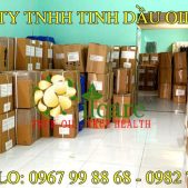 Bảng Giá Sỉ Tinh Dầu Thiên Nhiên Mới Nhất 2025 ✅ Cập Nhật Liên Tục