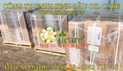 Nguyên Liệu Sản Xuất Dầu Gió Thảo Dược