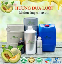 Hương Dưa Lưới Bán Buôn Sỉ